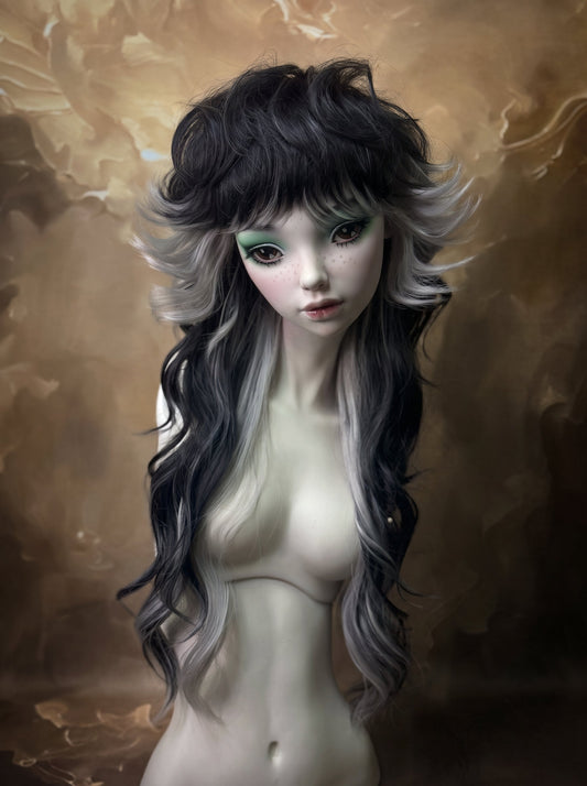 The Shag - Visage — Front